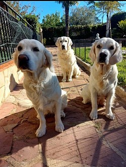 Vera, Nyme y Andy de Goldenvedat