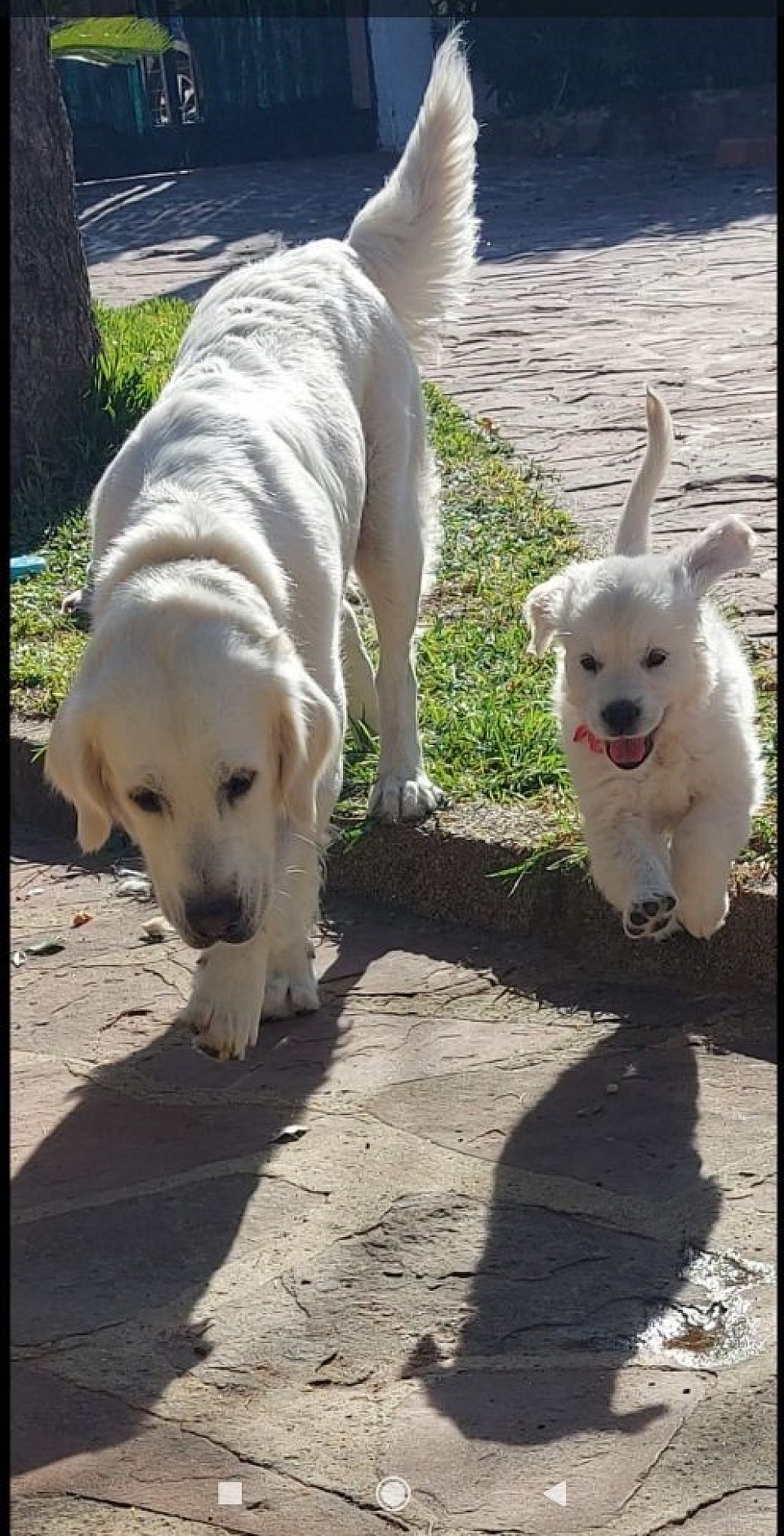 Nymeria Vera y Andy al fondo