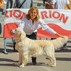 Vera Golden vedat compitiendo