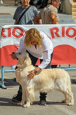 RELAJÁNDOSE Antes de entrar a RING